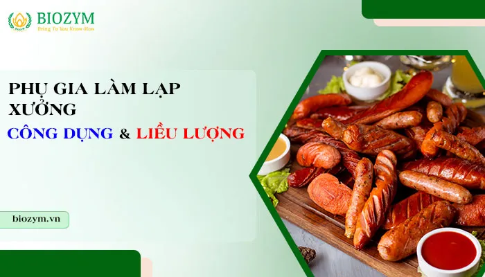 Sản phẩm phu gia lam lap xuong — Phụ Gia Thực Phẩm Biozym - Công Ty TNHH Sản Xuất Và Dịch Vụ Biozym — MST 0314279190