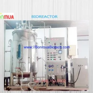 Sản phẩm fermentor 1000 l copy 300x300 — Bốn Mùa Biotech - Công Ty TNHH Công Nghệ Sinh Học Bốn Mùa — MST 0314284306
