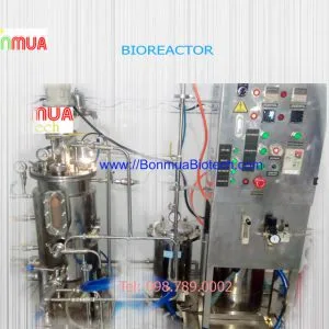 Sản phẩm fermentor 25l 300x300 — Bốn Mùa Biotech - Công Ty TNHH Công Nghệ Sinh Học Bốn Mùa — MST 0314284306