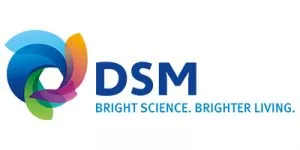 Sản phẩm dsm 1 300x150 — Công Ty TNHH ASE Polytech — MST 0314295410
