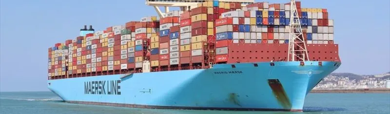 Sản phẩm madridmaersk 96970 — Công Ty TNHH Một Thành Viên VINBRAND — MST 0314296541