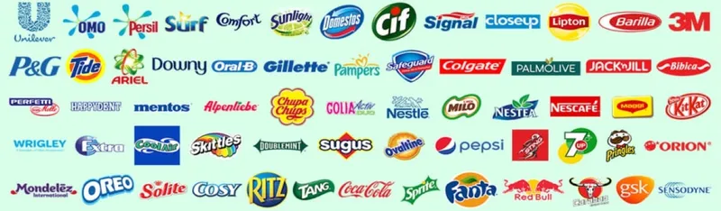 Sản phẩm vinbrand company brands 29980 — Công Ty TNHH Một Thành Viên VINBRAND — MST 0314296541