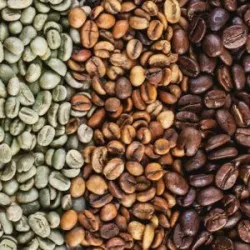 Sản phẩm 04_coffee 300x300 250x250 — Ống Hút Vinam - Công Ty TNHH Sản Xuất Thương Mại Dịch Vụ Vinam — MST 0314302643