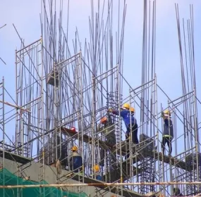 Sản phẩm xay dung 1181 1 6475 — Xây Dựng Phong Vũ - Công Ty TNHH Thương Mại Tư Vấn Xây Dựng Phong Vũ — MST 0314306461