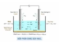 Sản phẩm dien phan dung dich nacl 5814 — Công Ty TNHH Công Nghiệp Đình Long — MST 0314306782