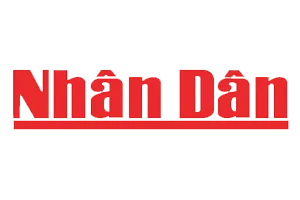 Sản phẩm bao8 — Vải Thun Thành Phát - Công Ty Trách Nhiệm Hữu Hạn Dệt Nhuộm Thành Phát — MST 0314316967