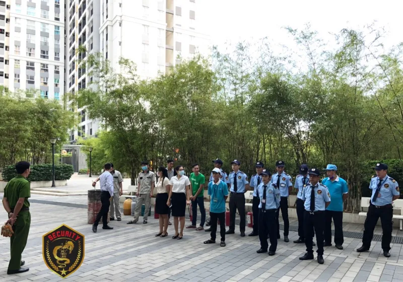 Văn phòng Bảo Vệ Việt Thiên Long - Công Ty Cổ Phần Dịch Vụ Bảo Vệ Việt Thiên Long #2 — MST 0314320138