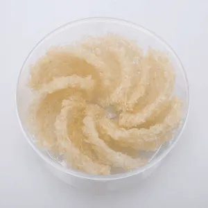 Sản phẩm yen vun 100g 020RF 300x300 — Công Ty TNHH Yến Sào Tâm An — MST 0314324453
