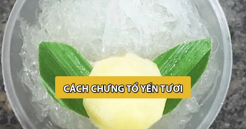 Sản phẩm cach chung to yen tuoi — Công Ty TNHH Yến Sào Tâm An — MST 0314324453