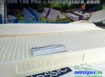 Sản phẩm gia nem cao su classic lien a moi nhat 4790 — Công Ty TNHH Thương Mại Dịch Vụ Nội Thất Tân Phú — MST 0314324767