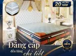 Sản phẩm nem cao su kim cuong co tot khong 6324 — Công Ty TNHH Thương Mại Dịch Vụ Nội Thất Tân Phú — MST 0314324767