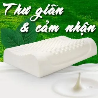 Sản phẩm gioi cao su gia re 1850 — Công Ty TNHH Thương Mại Dịch Vụ Nội Thất Tân Phú — MST 0314324767