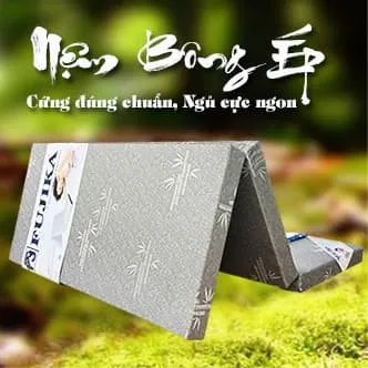 Sản phẩm nem bong ep chinh hang gia re 2491 — Công Ty TNHH Thương Mại Dịch Vụ Nội Thất Tân Phú — MST 0314324767