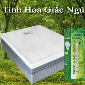 Sản phẩm nem foam nhan dien 2174 — Công Ty TNHH Thương Mại Dịch Vụ Nội Thất Tân Phú — MST 0314324767