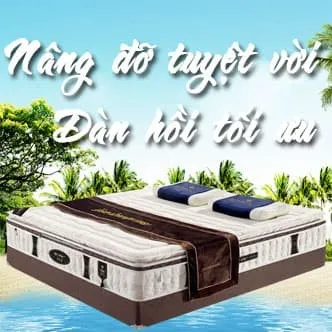 Sản phẩm nem lo xo gia re 2391 — Công Ty TNHH Thương Mại Dịch Vụ Nội Thất Tân Phú — MST 0314324767