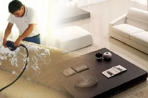 Sản phẩm giattham — Công Ty Cổ Phần VINAPT — MST 0314330023