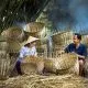 Sản phẩm hanh phuc khi tuoi gia 15756353653951138747133 80x80 — Công Ty CP Nhựa Kỹ Thuật Lộc Phát — MST 0314330432