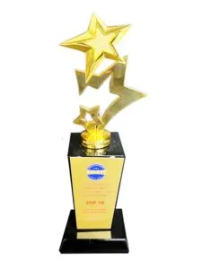 Sản phẩm giai thuong cua st decor 5 225x300 — Xây Dựng ST Decor Bến Tre - Công Ty Cổ Phần ST Decor — MST 0314330626