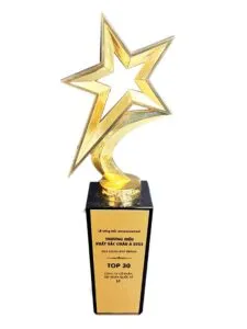 Sản phẩm giai thuong cua st decor 8 225x300 — Xây Dựng ST Decor Bến Tre - Công Ty Cổ Phần ST Decor — MST 0314330626