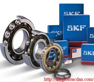 Sản phẩm SKF03 1506917902  — Công Ty TNHH TM DV Thế Giới Bạc Đạn — MST 0314352443