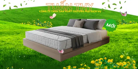 Sản phẩm nem cao su 3 1474 — Công Ty TNHH Sản Xuất Thương Mại Dịch Vụ Tuấn Thy — MST 0314362018