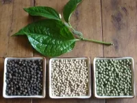 Sản phẩm thi truong tieu an do gia tieu on dinh o muc cao truoc nhu cau cuoi nam — Công Ty TNHH Mua Bán Nông Sản Và Chế Biến Tiêu Nam Đan — MST 0314362755