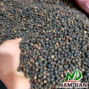 Sản phẩm tieu coi loai 1 — Công Ty TNHH Mua Bán Nông Sản Và Chế Biến Tiêu Nam Đan — MST 0314362755