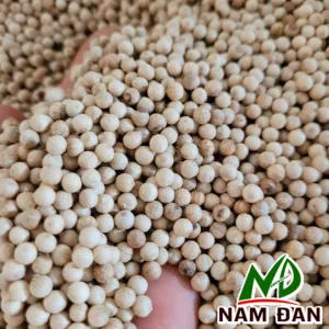 Sản phẩm tieu so moc hat to — Công Ty TNHH Mua Bán Nông Sản Và Chế Biến Tiêu Nam Đan — MST 0314362755