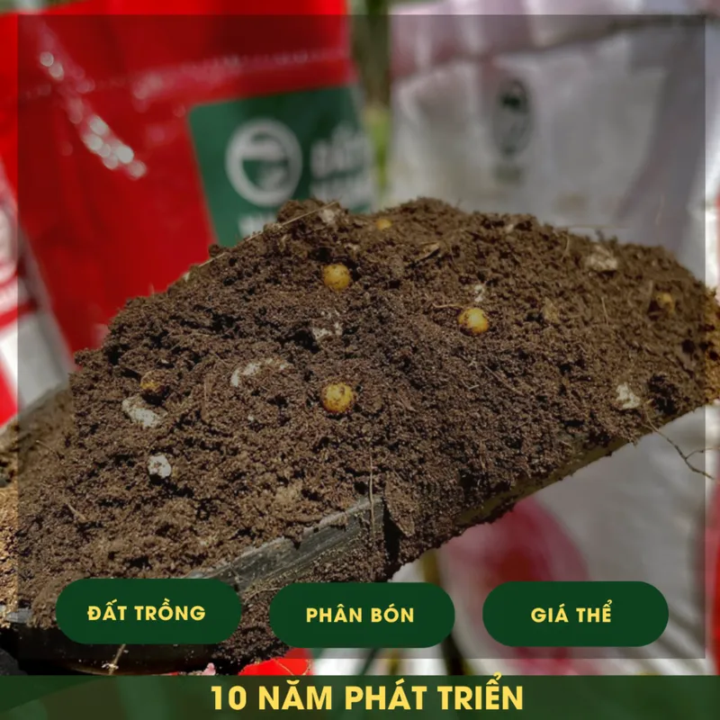 Văn phòng Công Ty Cổ Phần Nông Nghiệp Công Nghệ Cao Namix #1024 — MST 0314370234