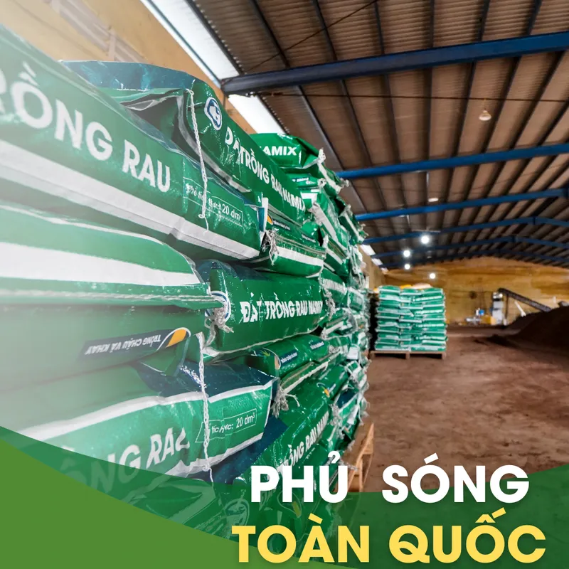 Sản phẩm Chi 5 — Công Ty Cổ Phần Nông Nghiệp Công Nghệ Cao Namix — MST 0314370234