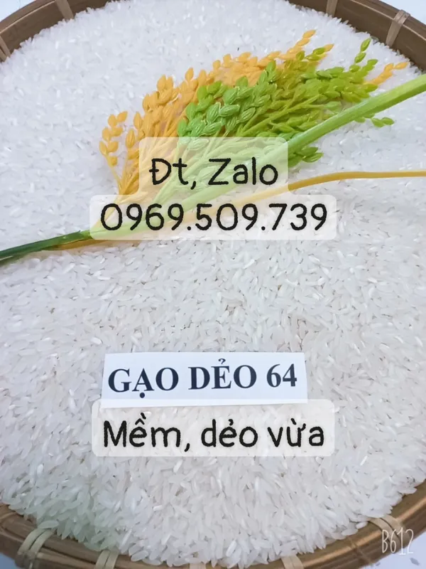Sản phẩm gtd003 — Gạo Gia Phú - Công Ty TNHH Nông Sản Gia Phú — MST 0314375948