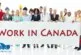 Sản phẩm lam viec Canada 81x55 — Công Ty TNHH MTV Thiên Đường Đất úc — MST 0314378762