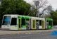 Sản phẩm nha melbourne tang gia manh 81x55 — Công Ty TNHH MTV Thiên Đường Đất úc — MST 0314378762