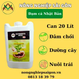 Sản phẩm 49 300x300 — Công Ty TNHH Thương Mại Dịch Vụ Nông Nghiệp Hoàng Liên Sơn — MST 0314389210