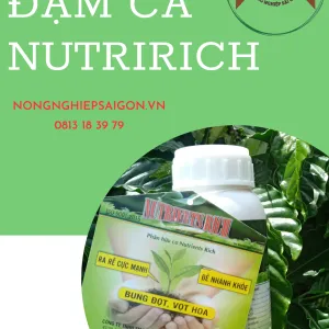 Sản phẩm Xanh la va Trang Hang nam Ban bao cao 300x300 — Công Ty TNHH Thương Mại Dịch Vụ Nông Nghiệp Hoàng Liên Sơn — MST 0314389210