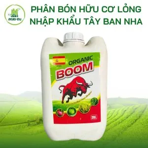 Sản phẩm z6563400089914_4a7b632b2a790f5549b1df1680bc0d05 300x300 — Công Ty TNHH Thương Mại Dịch Vụ Nông Nghiệp Hoàng Liên Sơn — MST 0314389210