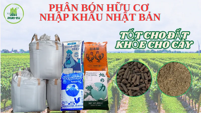 Sản phẩm 2 1024x576 — Công Ty TNHH Thương Mại Dịch Vụ Nông Nghiệp Hoàng Liên Sơn — MST 0314389210