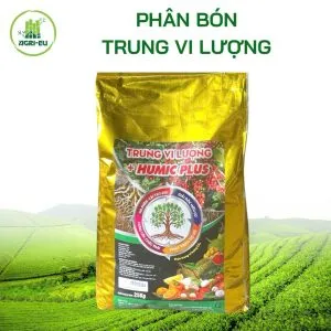 Sản phẩm BIA 300x300 — Công Ty TNHH Thương Mại Dịch Vụ Nông Nghiệp Hoàng Liên Sơn — MST 0314389210