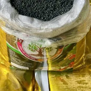 Sản phẩm z6563348081246_4730b0ee1548f41991e59134151bc80a 300x300 — Công Ty TNHH Thương Mại Dịch Vụ Nông Nghiệp Hoàng Liên Sơn — MST 0314389210