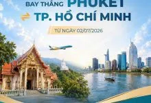 Sản phẩm 1782090897732_559205901336548896_3952193577670720571_ff941c8abe562ee61c0f4a4c1277cbe8 220x150 — Công Ty Cổ Phần Đầu Tư Tổng Hợp Liên Việt — MST 0314393048