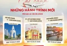 Sản phẩm 719599849_1584556910344532_8089228299718001227_n 220x150 — Công Ty Cổ Phần Đầu Tư Tổng Hợp Liên Việt — MST 0314393048