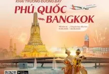 Sản phẩm 722147768_122194758482850776_8636704414012378656_n 220x150 — Công Ty Cổ Phần Đầu Tư Tổng Hợp Liên Việt — MST 0314393048
