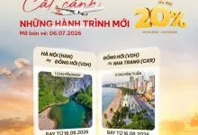 Sản phẩm 739548387_1610984527701770_7215302990576278035_n 220x150 — Công Ty Cổ Phần Đầu Tư Tổng Hợp Liên Việt — MST 0314393048