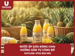 Sản phẩm huong dan tu cong bo nuoc ep dua dong chai 250x188 — Công Ty TNHH VINAUCARE — MST 0314406829