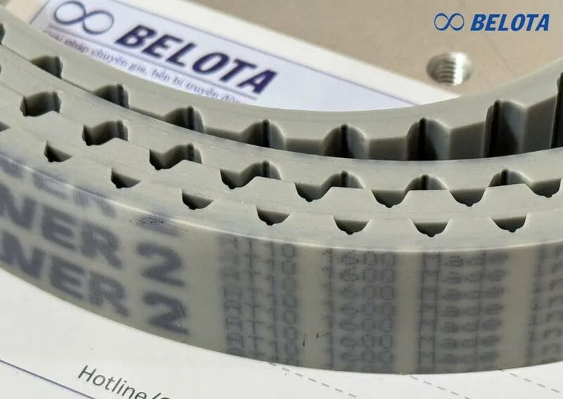 Sản phẩm day curoa b9m5djv — Công Ty TNHH BELOTA — MST 0314414097