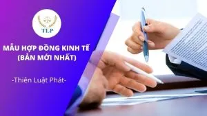 Sản phẩm hop dong kinh te 2021 300x169 — Công Ty TNHH Tư Vấn Thiên Luật Phát — MST 0314421697
