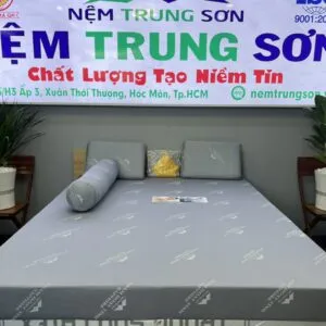 Sản phẩm z4563859414662_80c40f5f36e604c1e320f21e3603fc57 300x300 — Công Ty TNHH Chăn Drap Gối Nệm Trung Sơn — MST 0314422323