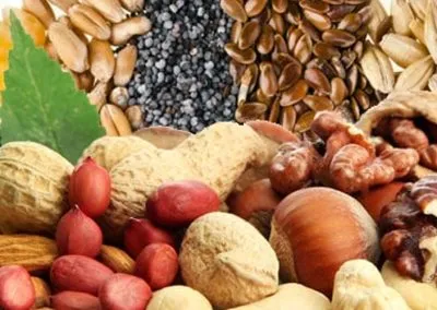 Sản phẩm can va dong goi hat va trai cay say 2 400x284 — Công Ty CP MKT Group — MST 0314431737
