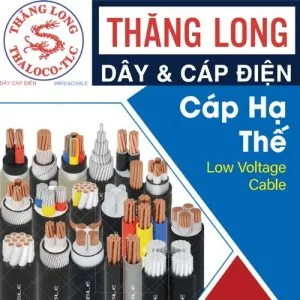 Sản phẩm cap ha the 300x300 — Vật Tư An Gia Thịnh - Công Ty TNHH Đầu Tư Phát Triển Xây Dựng An Gia Thịnh — MST 0314440280