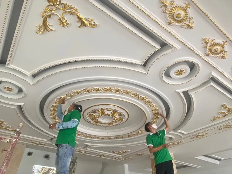 Sản phẩm 21a6cbfcb7da798420cb — Công Ty TNHH TM Và Phát Triển Dịch Vụ Trần Lê — MST 0314442520